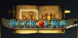 Book of Ra Deluxe slot artwork