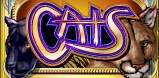 Cats slot artwork
