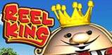 Reel King slot artwork