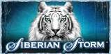 Siberian Storm slot artwork