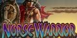 Norse Warrior slot artwork