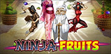 Ninja Fruits slot artwork
