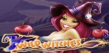 Wild Witches slot artwork