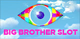 Big Brother slot artwork