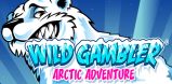 Wild Gambler – Arctic Adventure slot artwork