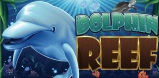 Dolphin Reef slot artwork