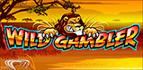 Wild Gambler slot artwork