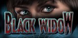 Black Widow slot artwork