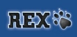 Rex slot artwork