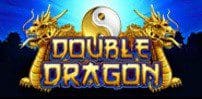 Double Dragon Logo