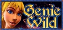 Genie Wild slot artwork