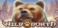 Wild North slot artwork