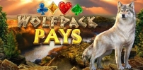Wolfpack Pays slot artwork