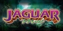 jaguar mist slot logo