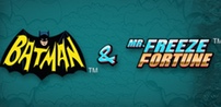 Batman and Mr Freeze Fortune slot artwork
