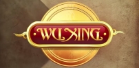 wu xing slot logo
