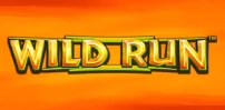 Wild Run slot artwork