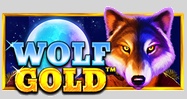 Play Wolf Gold Slot Demo for Free | Complete Slot Review slot artwork