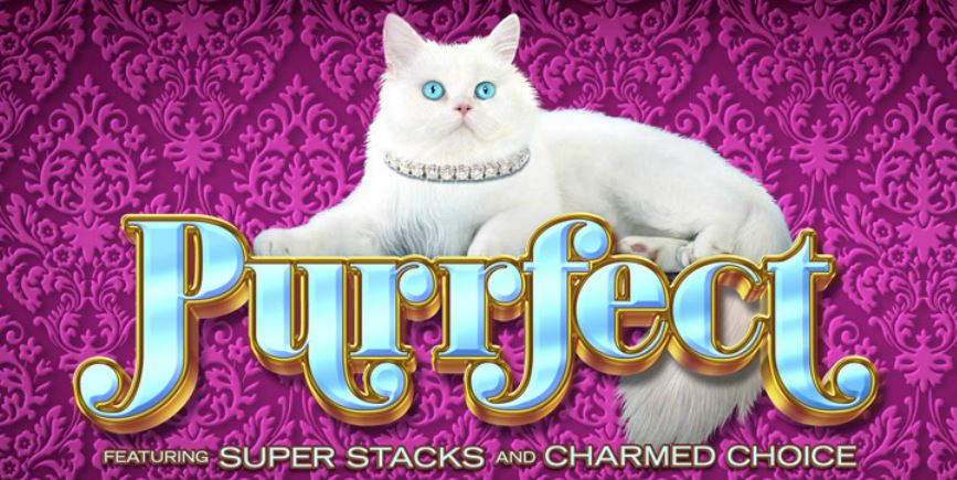 Purrfect slot artwork
