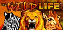 The Wildlife slot artwork