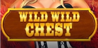 Wild Wild Chest slot artwork