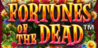 Fortunes of The Dead slot artwork