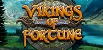 Vikings of Fortune slot artwork