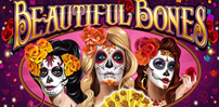 Beautiful Bones slot artwork