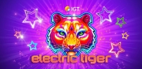 Electric Tiger slot artwork