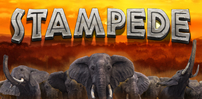 Stampede slot artwork