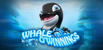 Whale O’ Winnings slot artwork