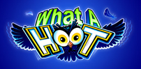 What a Hoot slot artwork