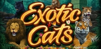 Exotic Cats slot artwork