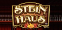 Stein Haus slot artwork