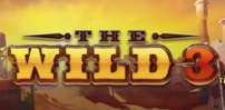 The Wild 3 slot artwork