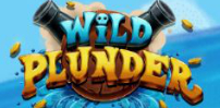 Wild Plunder slot artwork
