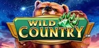 Wild Country slot artwork