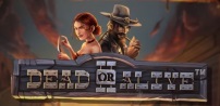 Dead or Alive 2 slot artwork