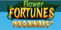 Flower Fortunes Megaways slot artwork