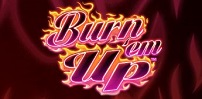 Burn Em Up slot artwork
