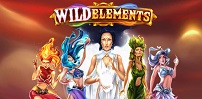 Wild Elements slot artwork