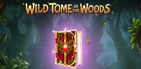 Wild Tome of The Woods slot artwork