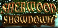 Sherwood Showdown slot artwork