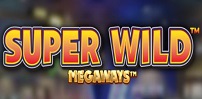 Super Wild Megaways slot artwork