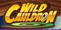 Wild Cauldron slot artwork