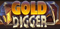 Gold Digger slot artwork