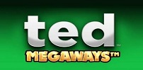 Ted Megaways slot artwork