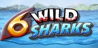 6 Wild Sharks slot artwork