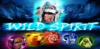 Wild Spirit slot artwork