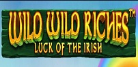 Wild Wild Riches slot artwork